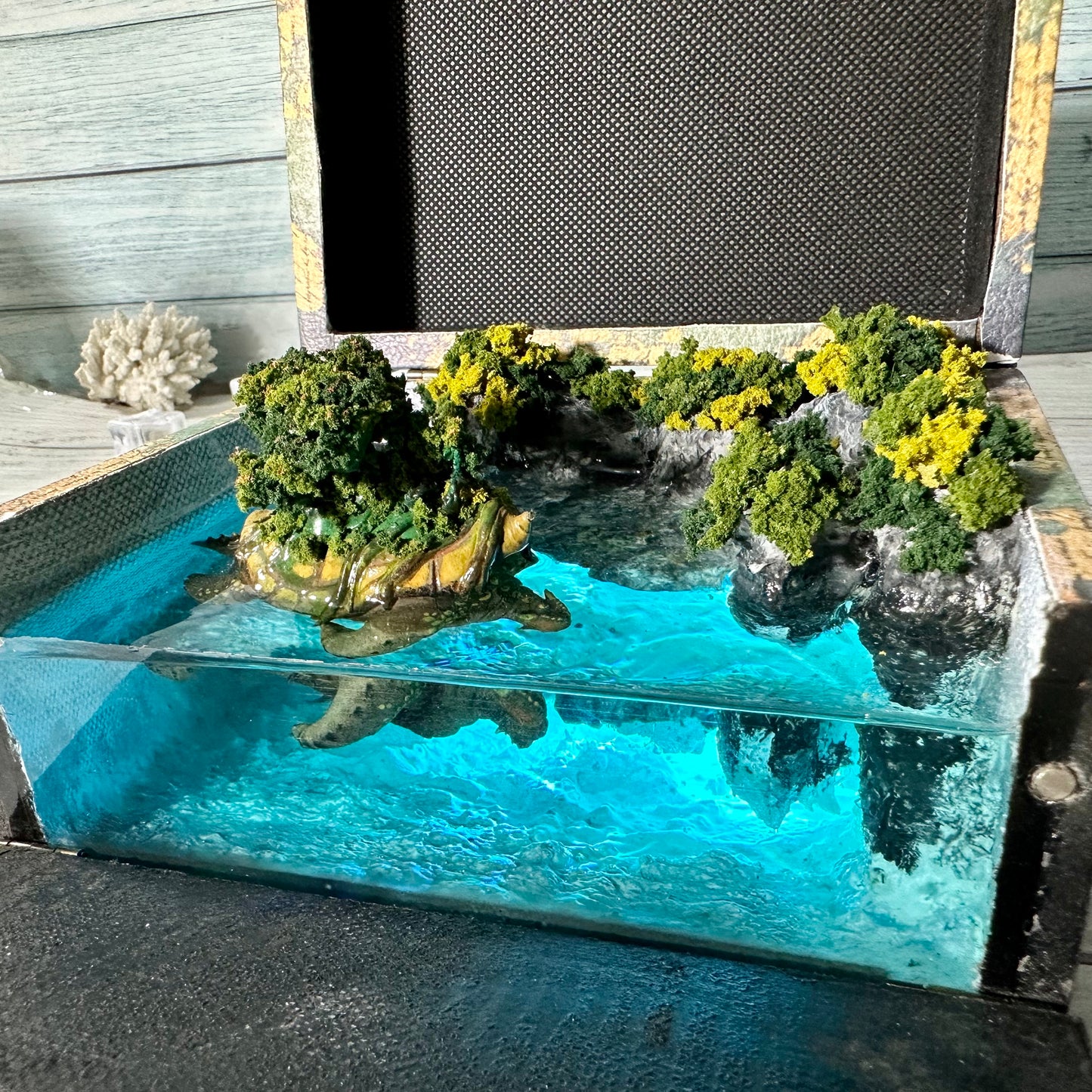 Thousand-Year-Old Turtles