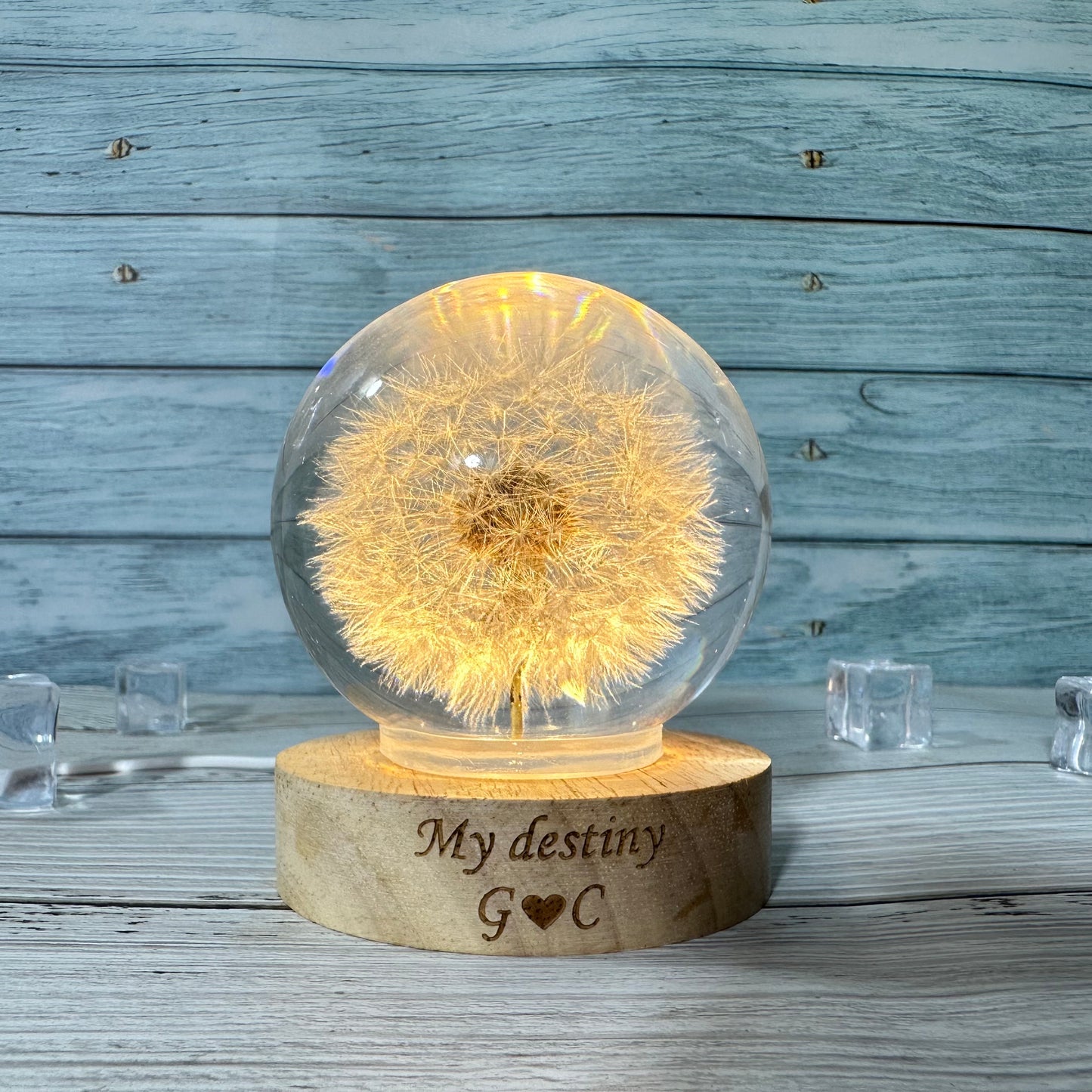Real Dandelion Night Light
