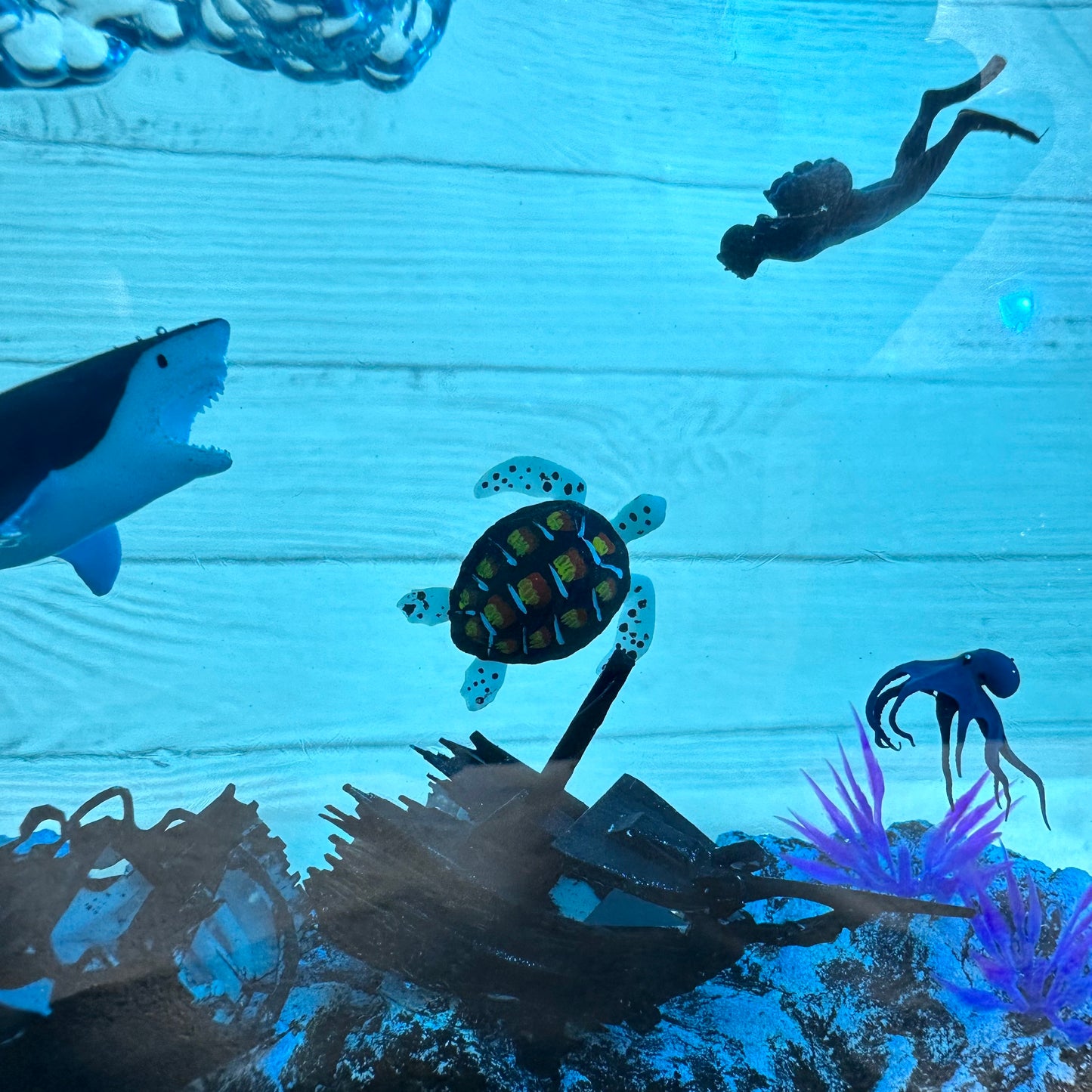 Great White Shark and Turtle lamp