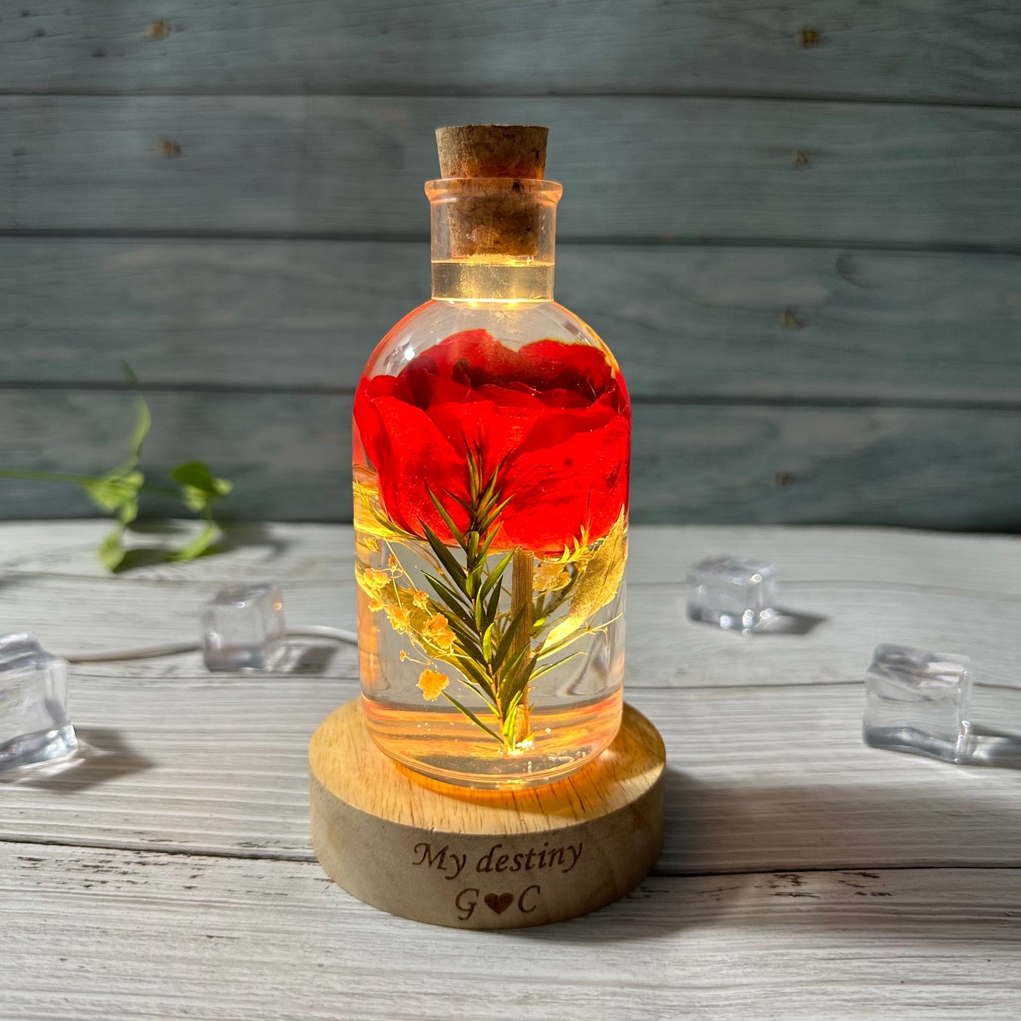 Rose Flower Night Light