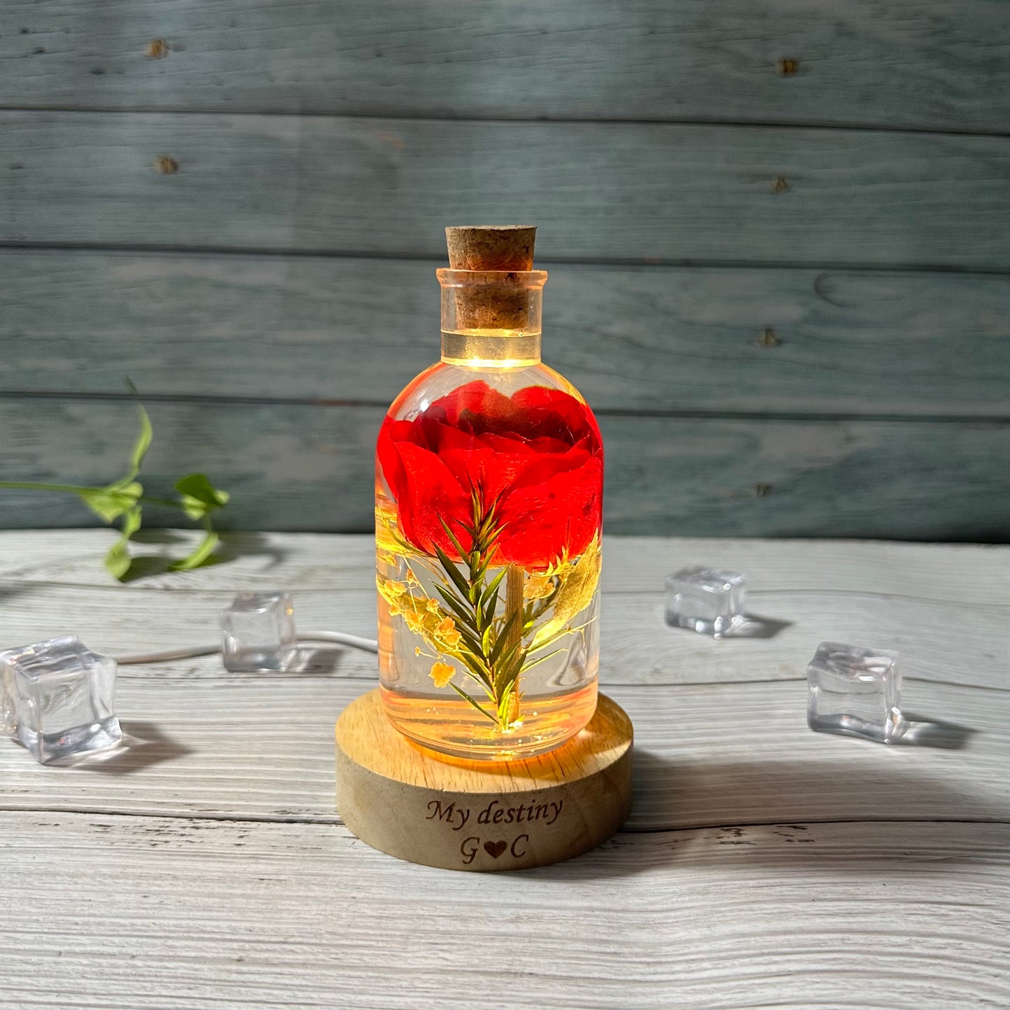 Rose Flower Night Light